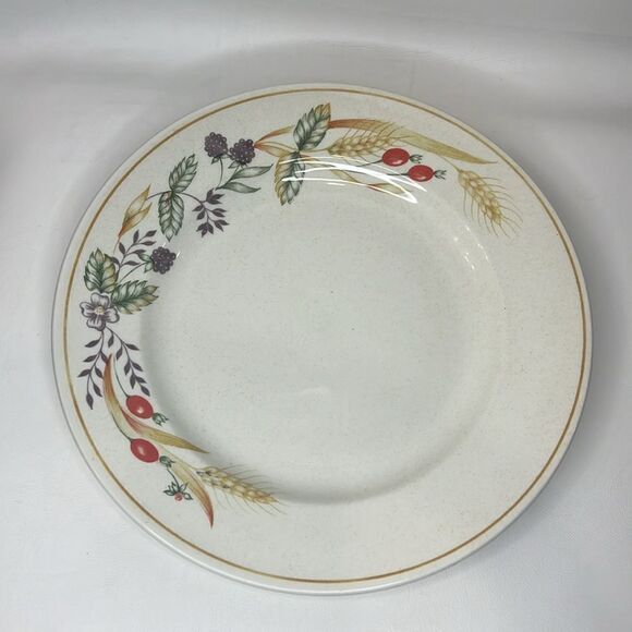 Churchill Plates Made Staffordshire England Fine Tableware 9 1/2 In Round Set 3 - Picture 5 of 8